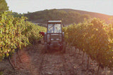 reefman vinyard 